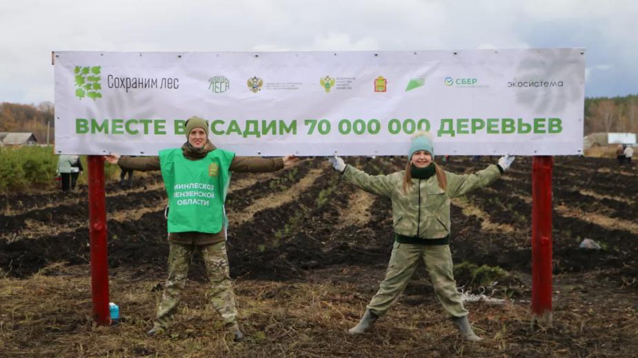 В Пензенской области высадили 30 тысяч деревьев