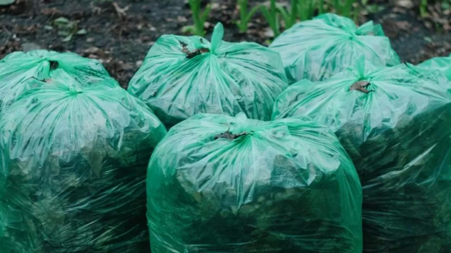 Пензенцев приглашают убрать берега Сурского водохранилища