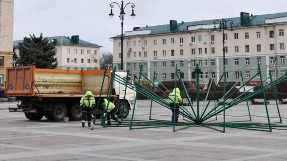 В Пензе на площади Ленина начали монтировать елку